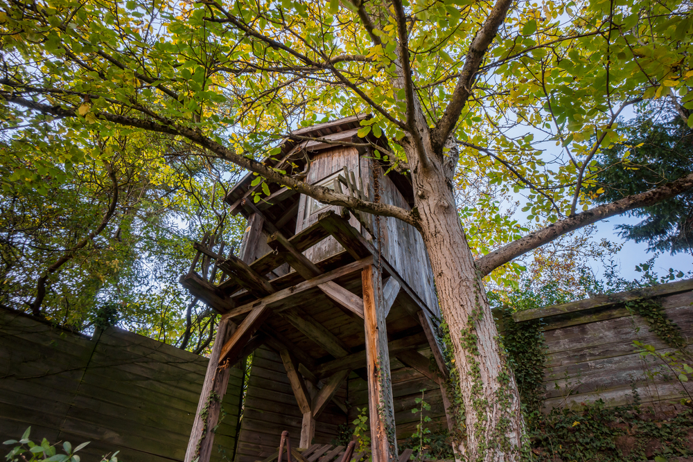 Atlanta Yard Debris and Outdoor Clean Up Services.