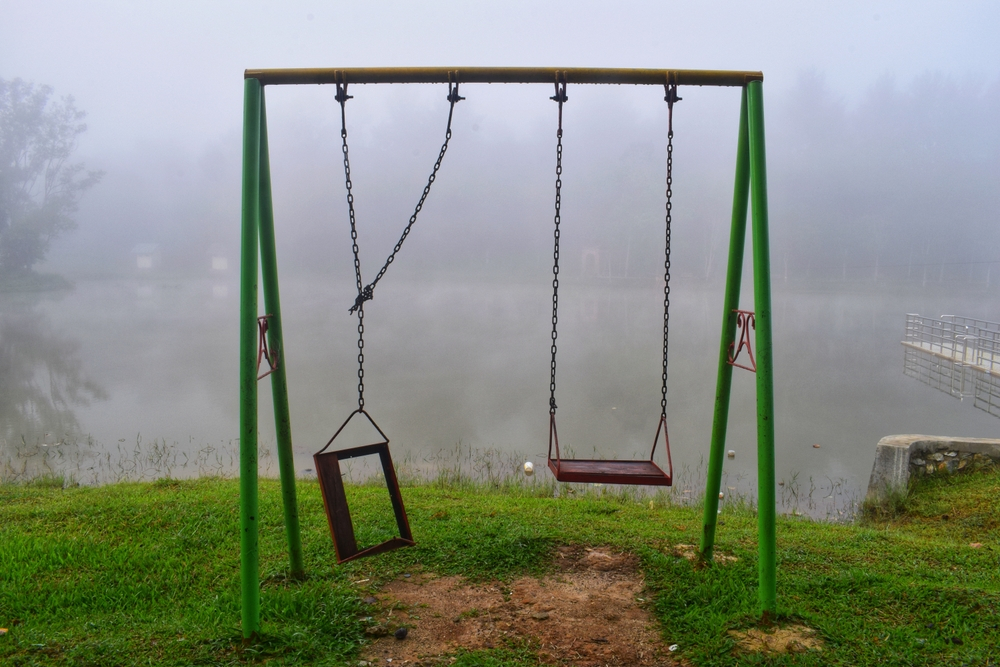 Raleigh’s trusted playset removal professionals.