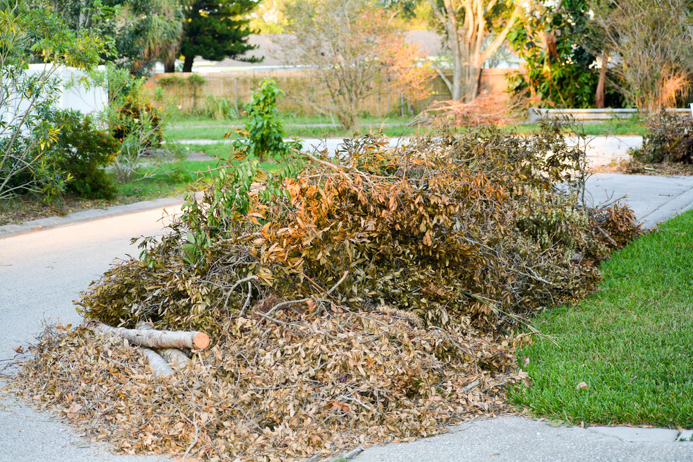 Factors to consider when hiring a tree debris removal service.