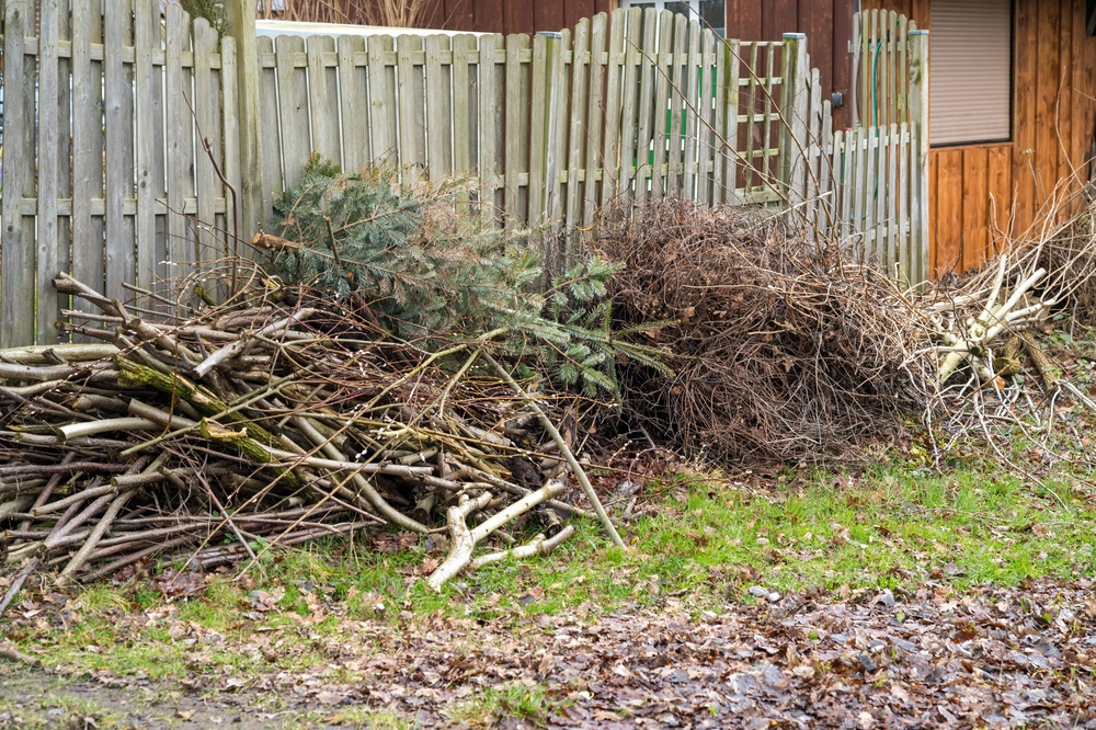 The best methods for tree removal near me.