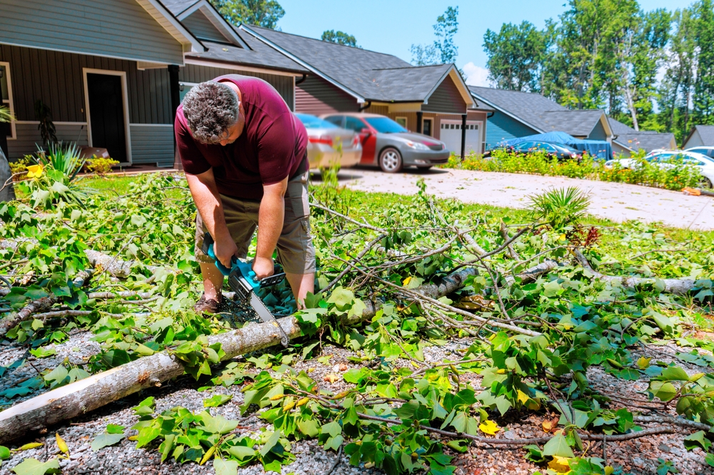 Local tree debris.