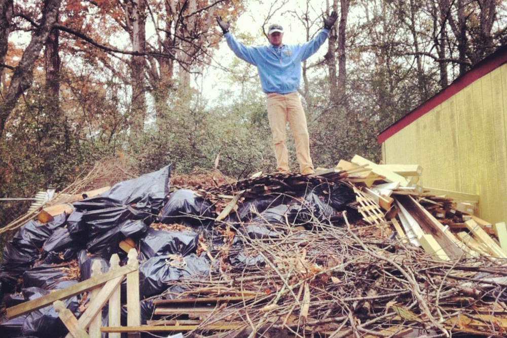 Tree debris Removal